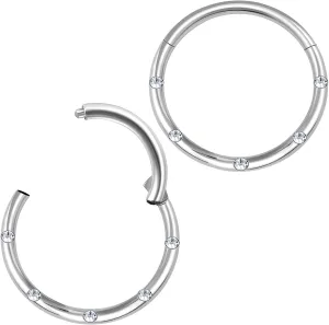 2pcs 16g hinged Segment Ring Steel Earring Hoop Cartilage Nipple Nose Forward Lip Septum Nipple Helix Rook Tragus D4RCE
