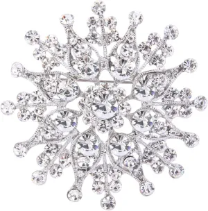 EVER FAITH Women's Austrian Crystal Elegant Flower Leaf Bridal Corsage Brooch Pin Clear Silver-Tone