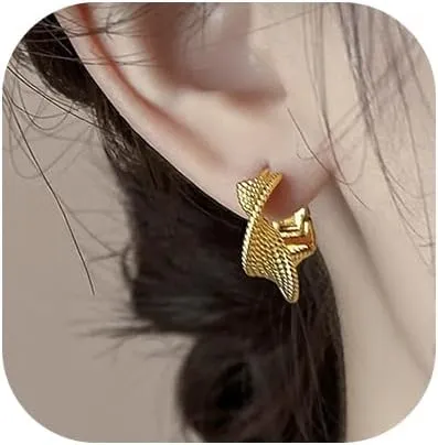 Hoop Earrings for Women,Geometric Earrings Hypoallergenic Chunky Huggie Gold Hoops Small Formal Cute Dainty Earring