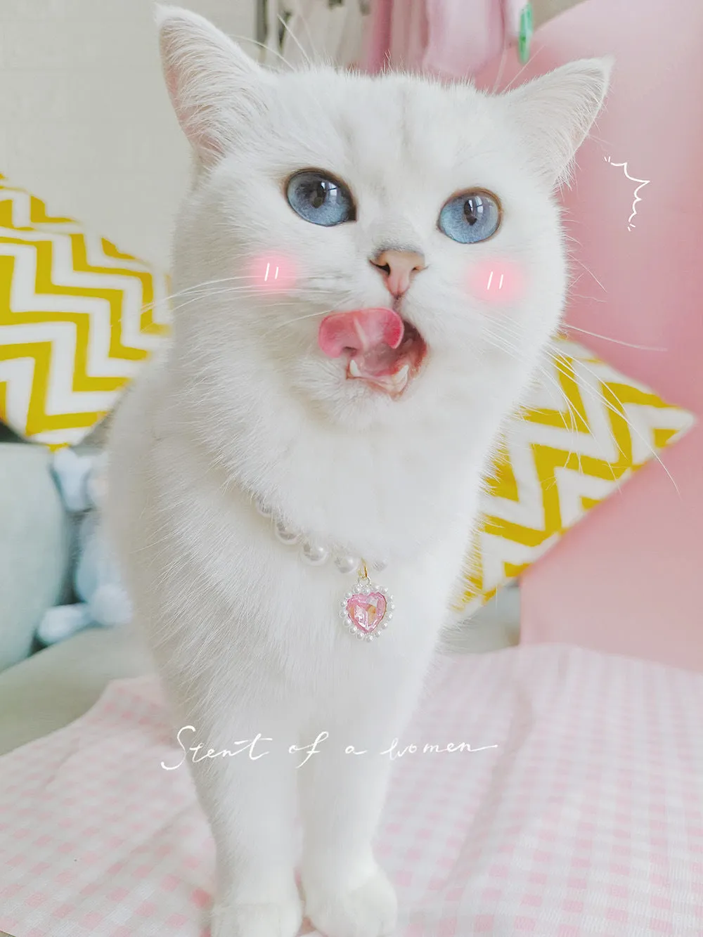 Pet Cat Beads Love Necklace