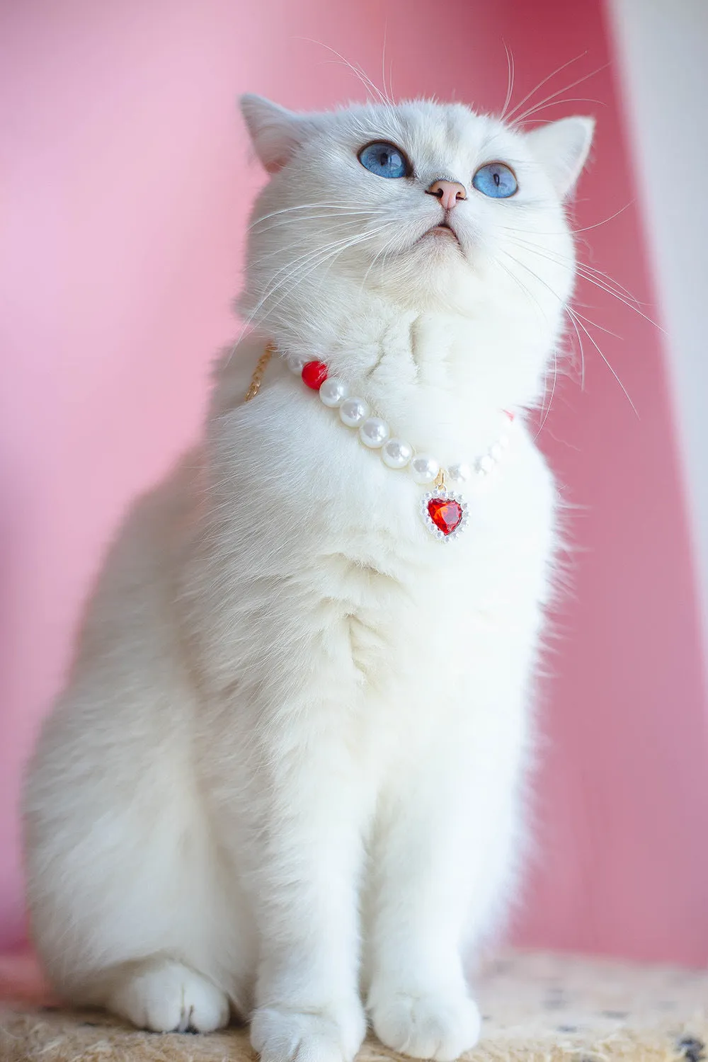 Pet Cat Beads Love Necklace