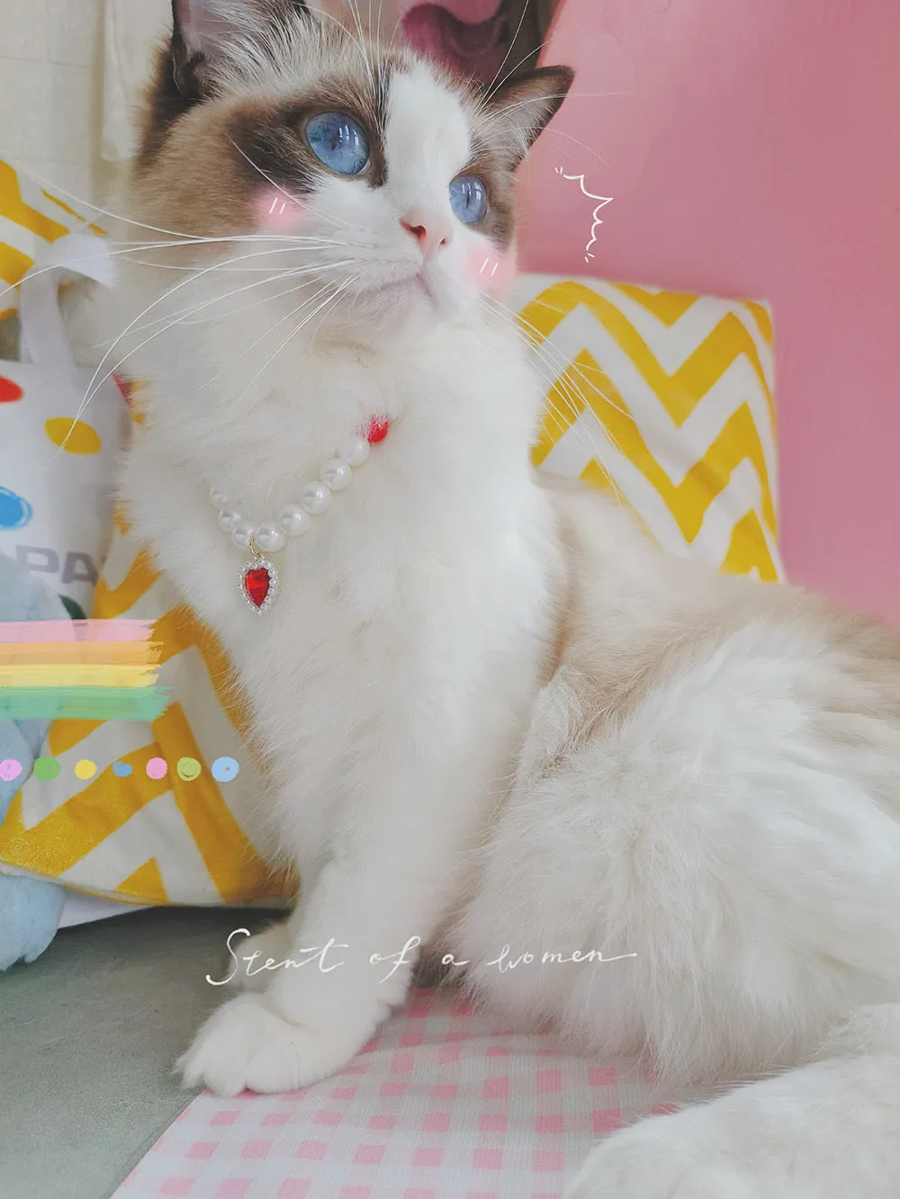 Pet Cat Beads Love Necklace
