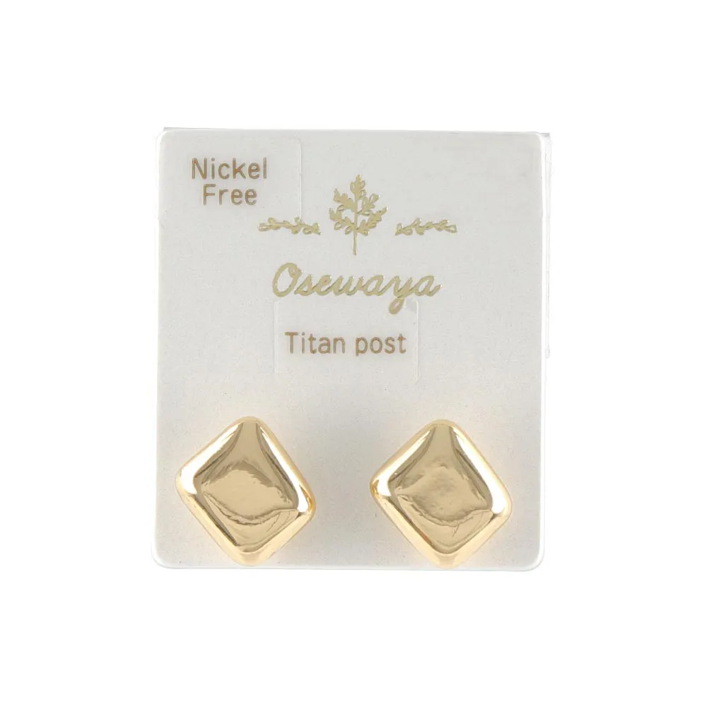 Polished Square Titanium Earrings