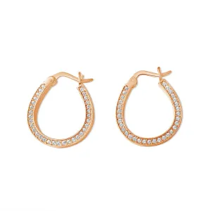 Prosperity horseshoe earrings