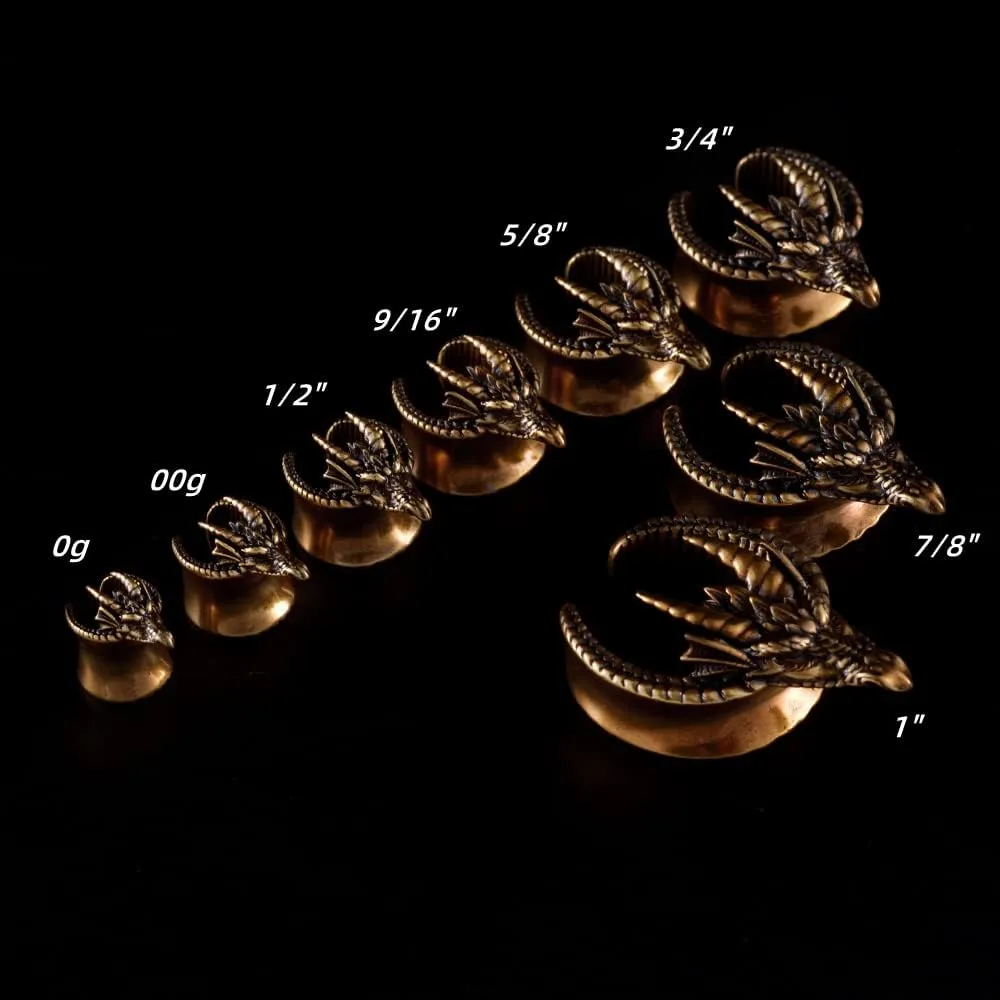 PUNKYOUTH 2PCS Punk Skull Ear Tunnels Brass Vintage Double Flared Plugs Cool Gothic Goat Head Ear Gauges Stretcher Piercings Gauge 0g to 1 inch